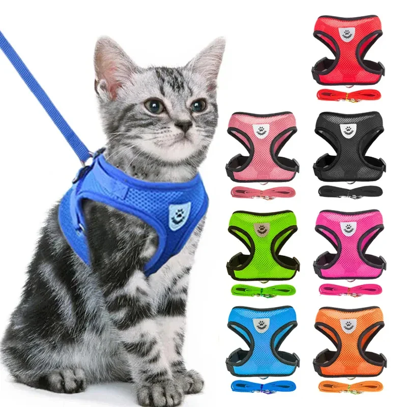 Collar Ajustable para Perros y Gatos - StreetPet™