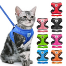 Collar Ajustable para Perros y Gatos - StreetPet™