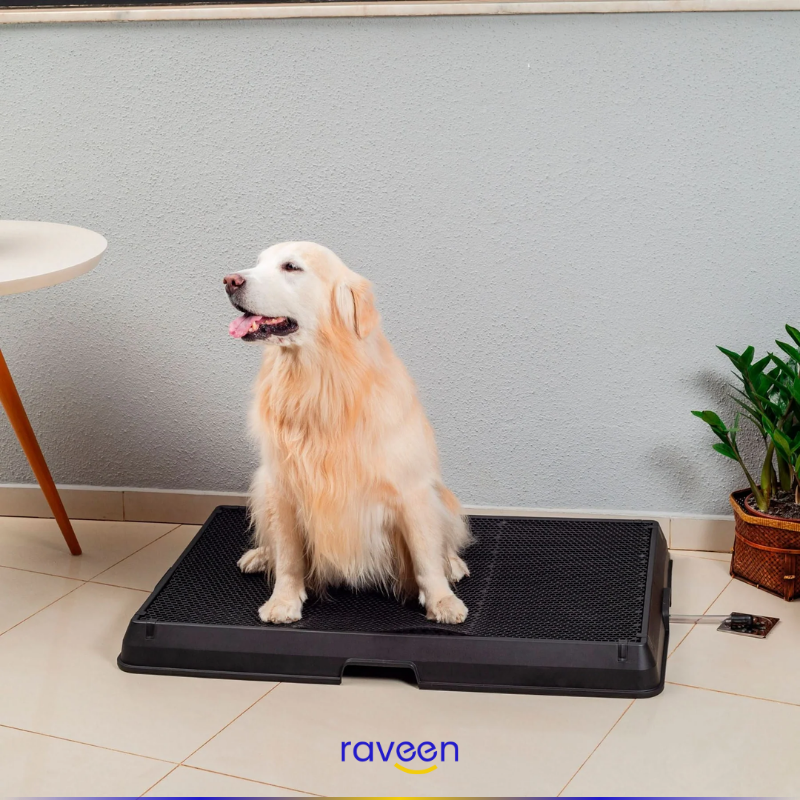 Baño Inteligente para Mascotas