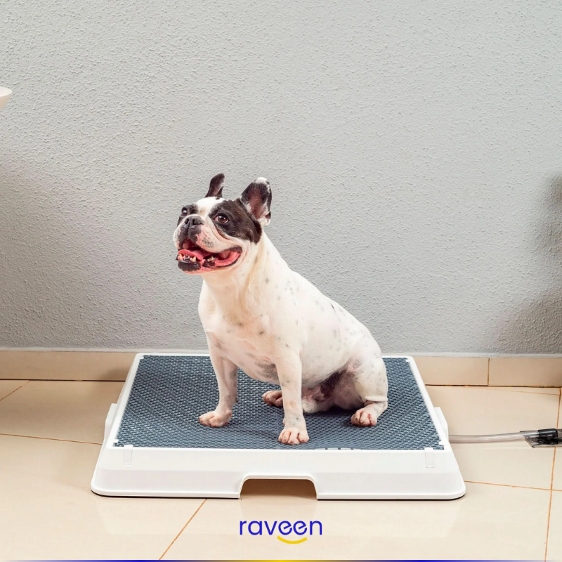 Baño Inteligente para Mascotas