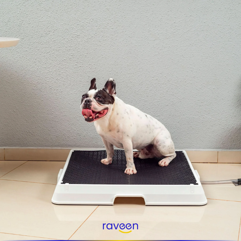 Baño Inteligente para Mascotas