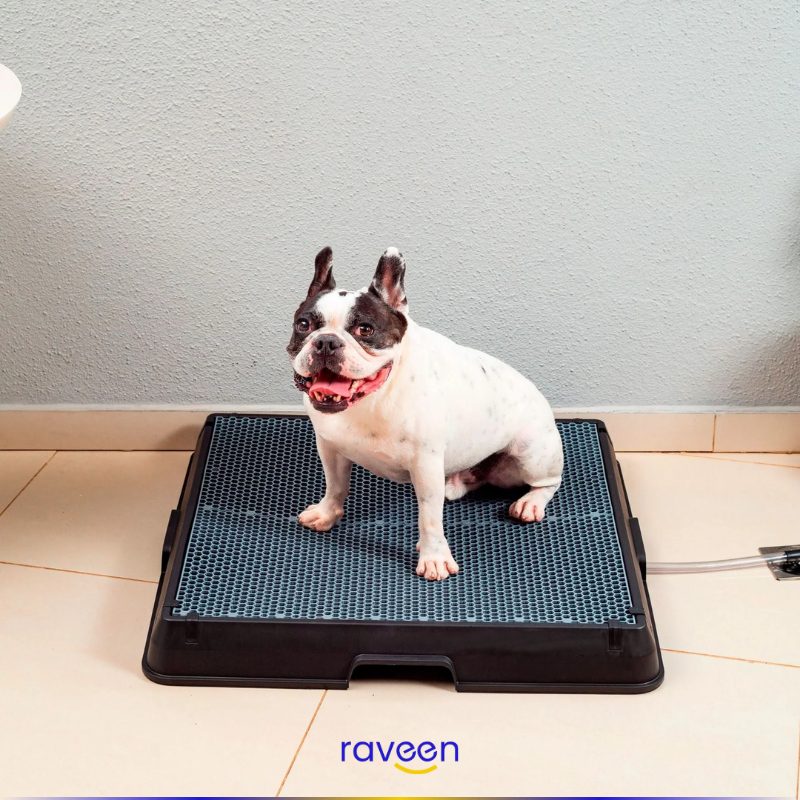 Baño Inteligente para Mascotas