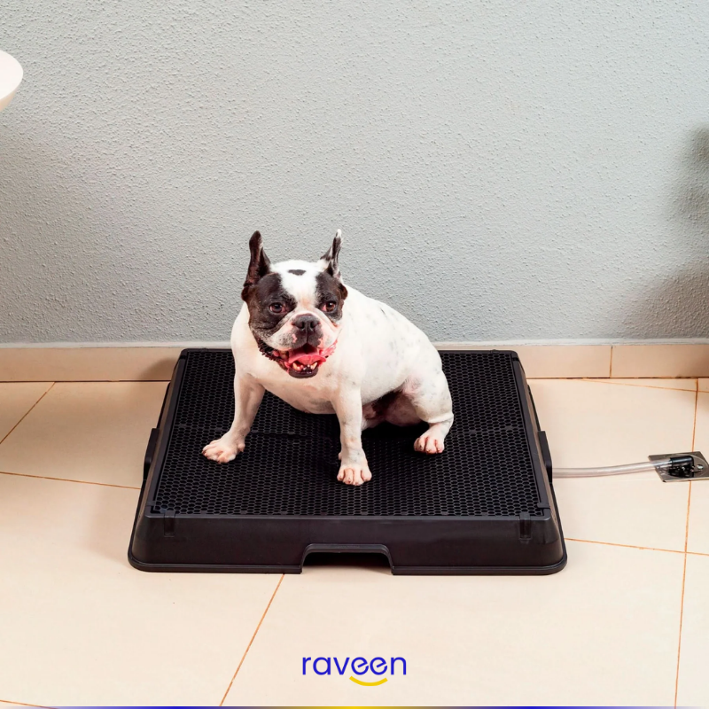 Baño Inteligente para Mascotas