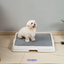 Baño Inteligente para Mascotas