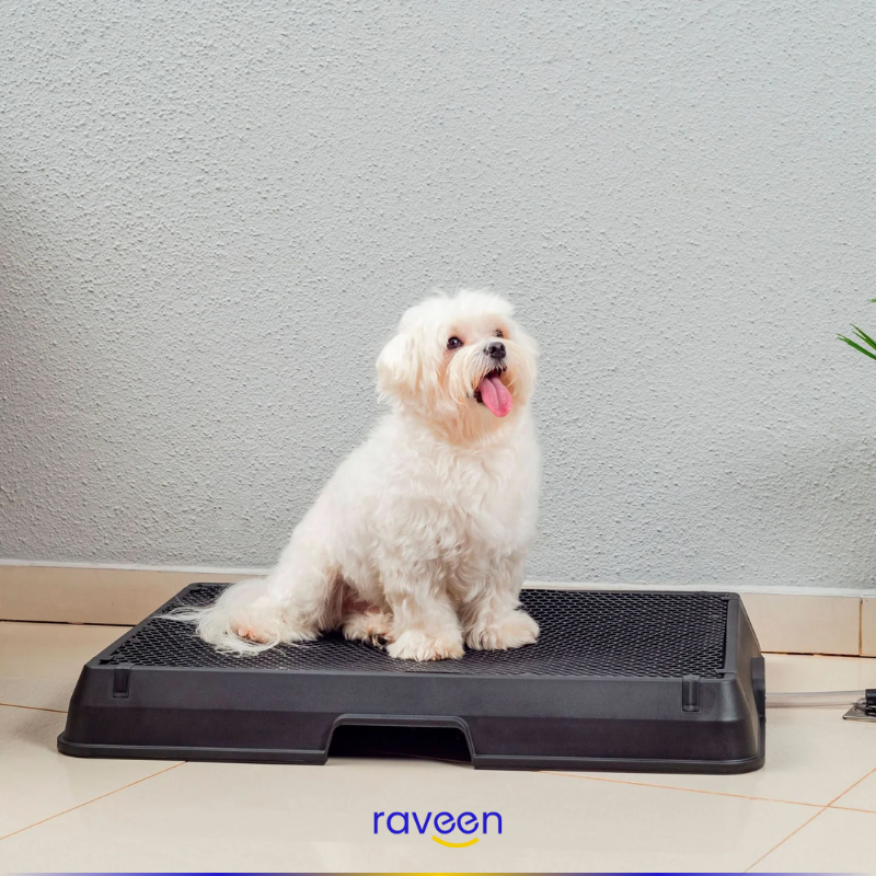 Baño Inteligente para Mascotas