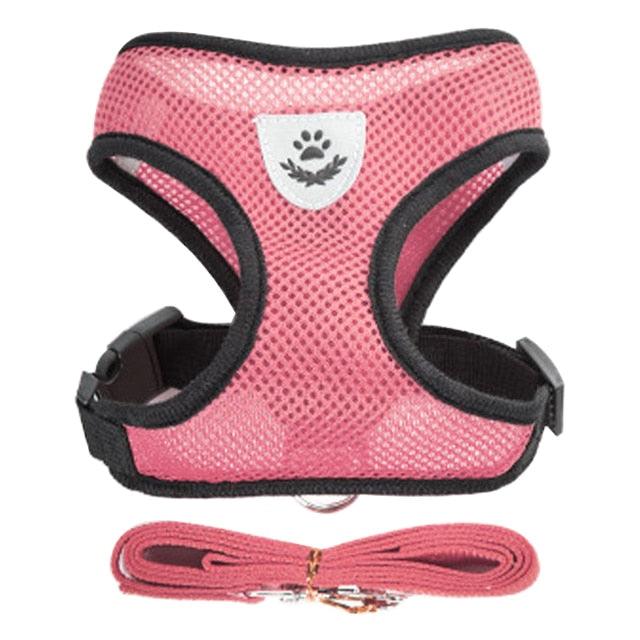 Collar Ajustable para Perros y Gatos - StreetPet™
