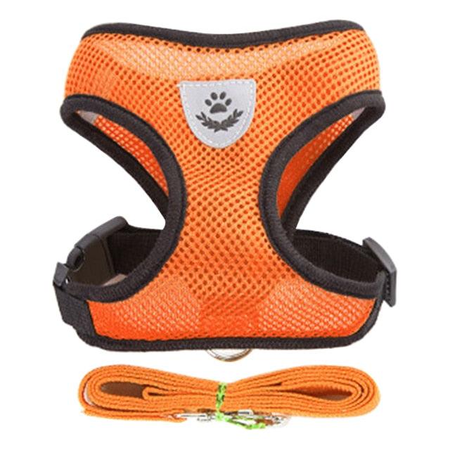 Collar Ajustable para Perros y Gatos - StreetPet™